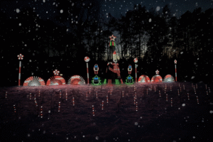 5336B205 2867 49B8 B80E 6BC6BE922D69