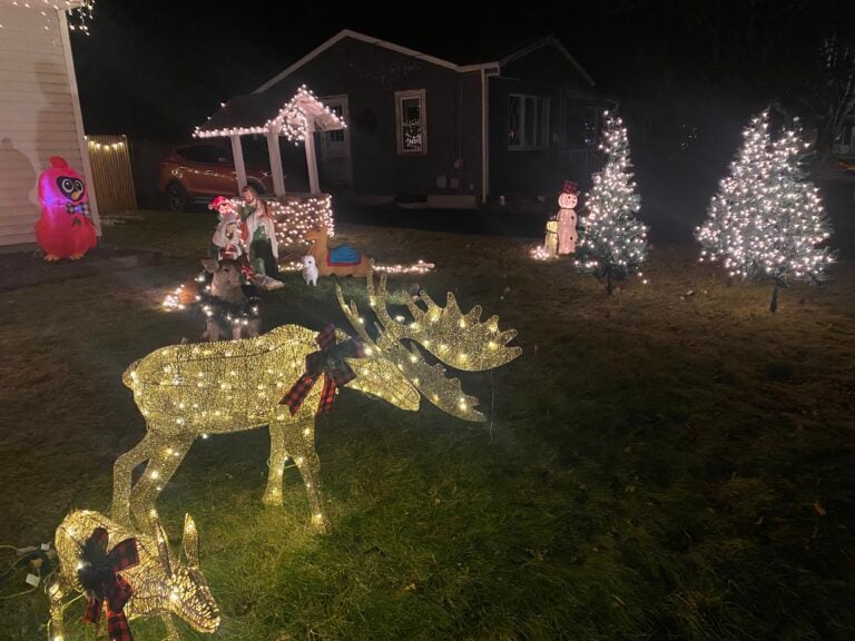 Photo 6 of Adams winter wonderland