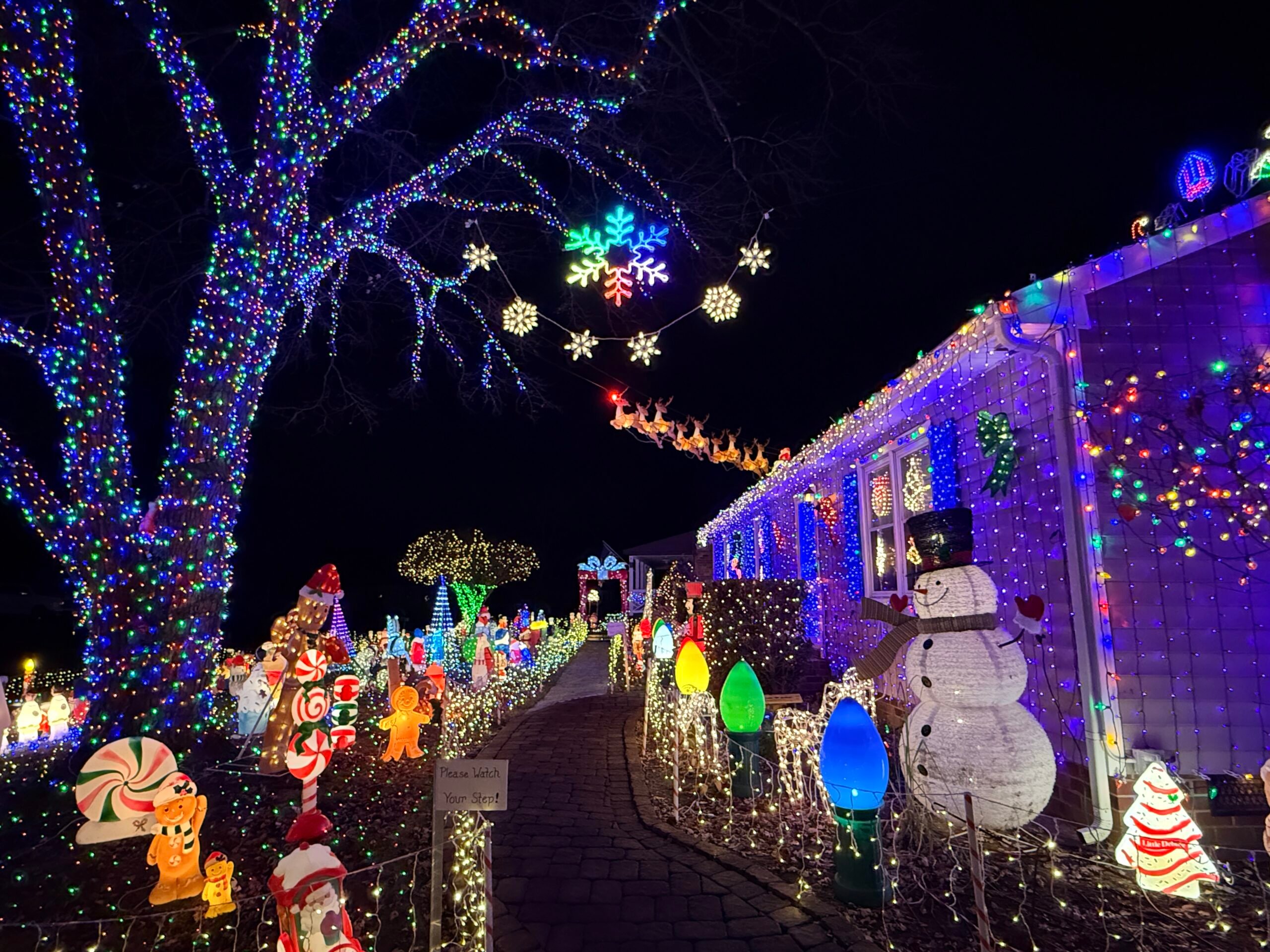 Image 11 of IMG_8398