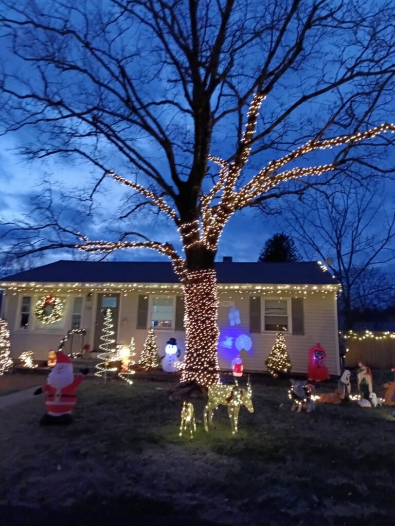 Photo 3 of Adams winter wonderland