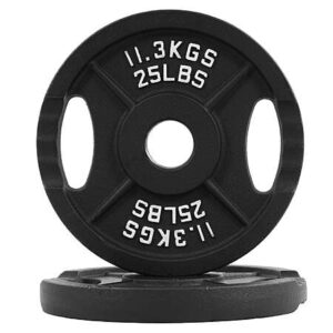 25-lb BalanceFrom Classic Cast Iron 2" Olympic Weight Plates (Pair)