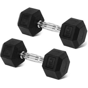 Elevon 15-lb Pair Hex Rubber-Coated Dumbbells