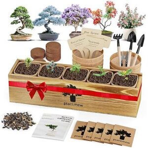 PLANTMEW 5 Tree Beginner Bonsai Starter Kit w/ Tools & Seeds