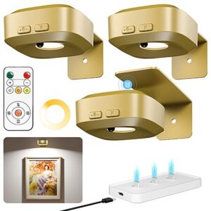 Prime Members: 3-Pack Lightbiz Rechargeable Magnetic Picture Lights