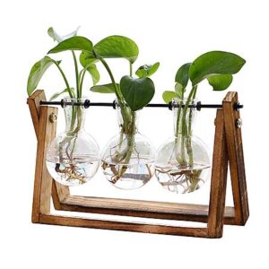 XXXFlower 3-Bulb Vase Plant Terrarium Air Planter w/ Wooden Stand $9.91 + Free Shipping w/ Prime or on $35+