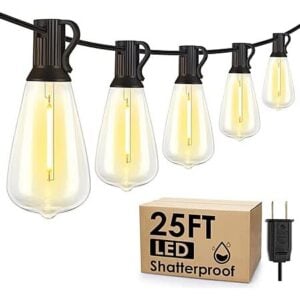 25' Larkvue 10-Bulb LED Outdoor String Lights