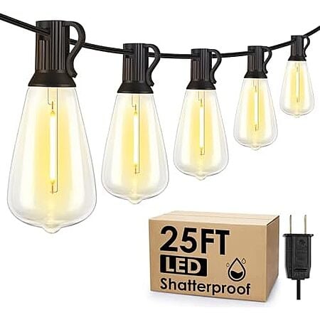 25' Larkvue 10-Bulb LED Outdoor String Lights