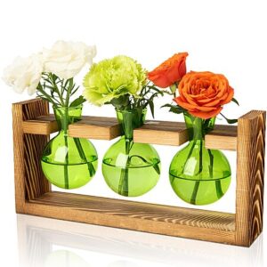 XXXFLOWER 3 Bulb Vase Plant Terrarium w/ Wooden Stand (Various) $6.93 + Free Shipping w/ Prime or on $35+