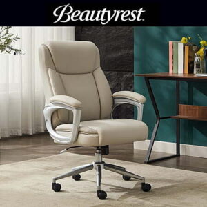 Beautyrest Beyla Ergonomic Manager Office Chair w/ Padded Armrest