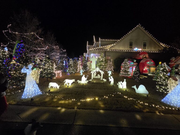 Photo 11 of Tega Cay's Griswold award winning house