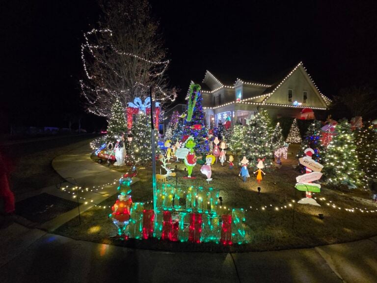 Photo 10 of Tega Cay's Griswold award winning house