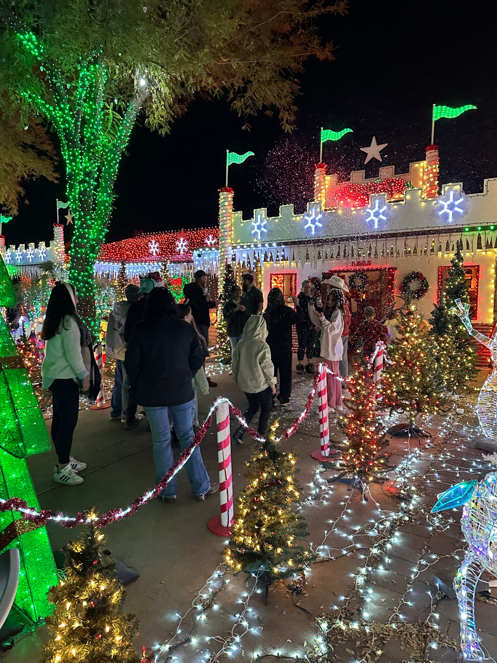 Photo of Santa’s Castle