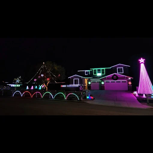 Photo 2 of Lights On Quarter Horse
